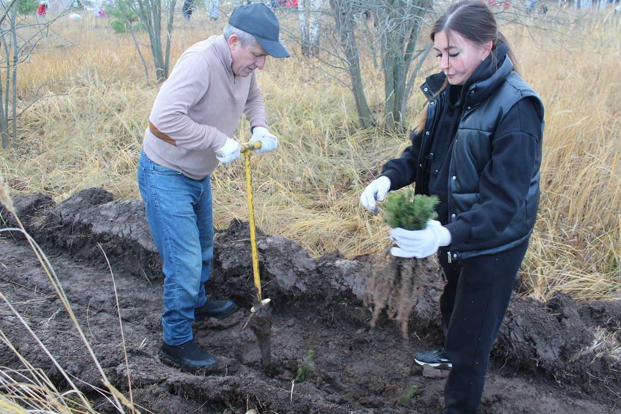 Сад памяти в честь бойцов СВО появился в Лаишеве