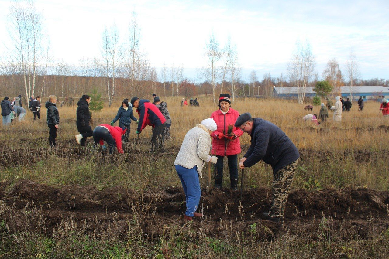 Сад памяти в честь бойцов СВО появился в Лаишеве