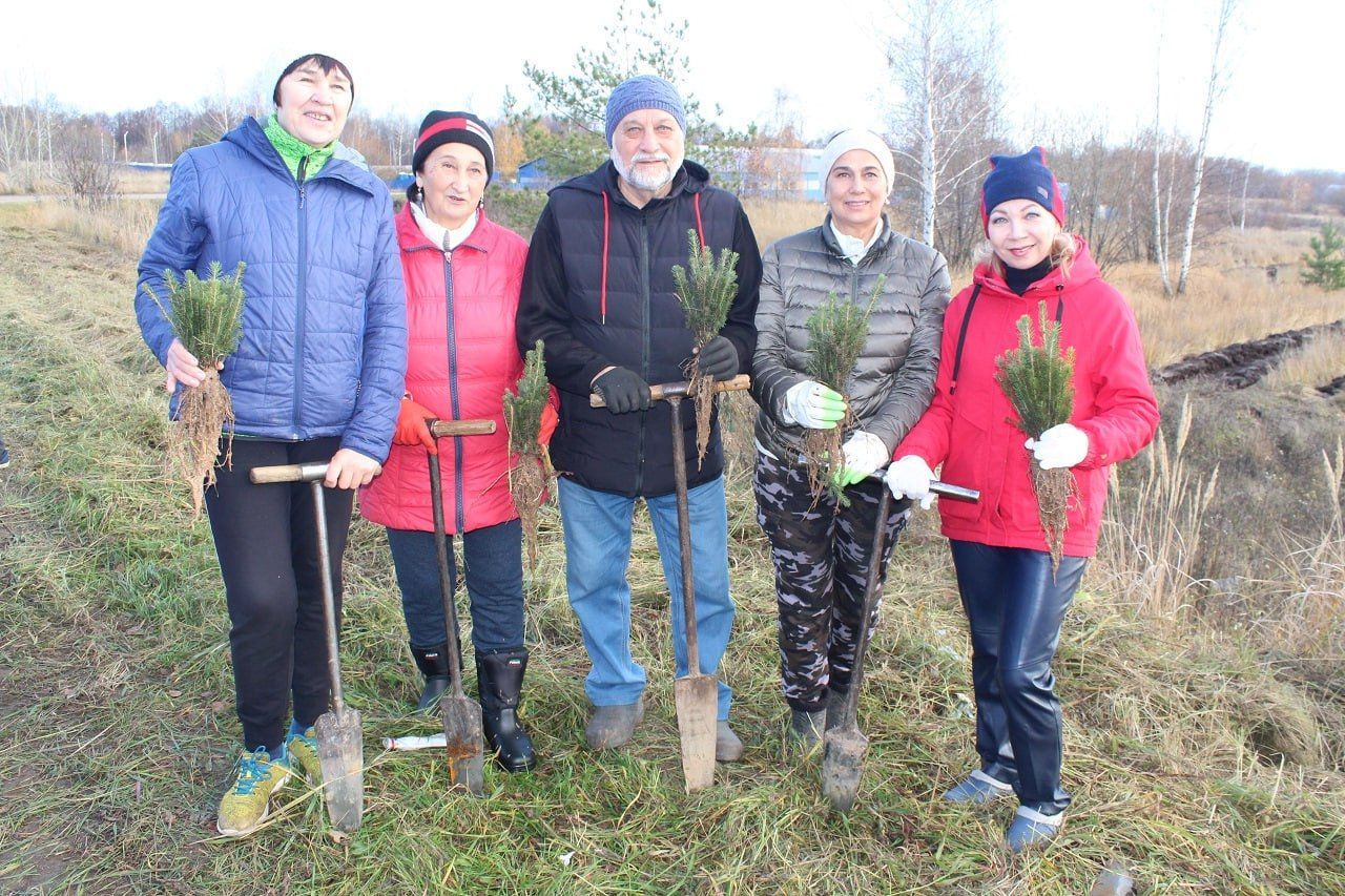 Сад памяти в честь бойцов СВО появился в Лаишеве