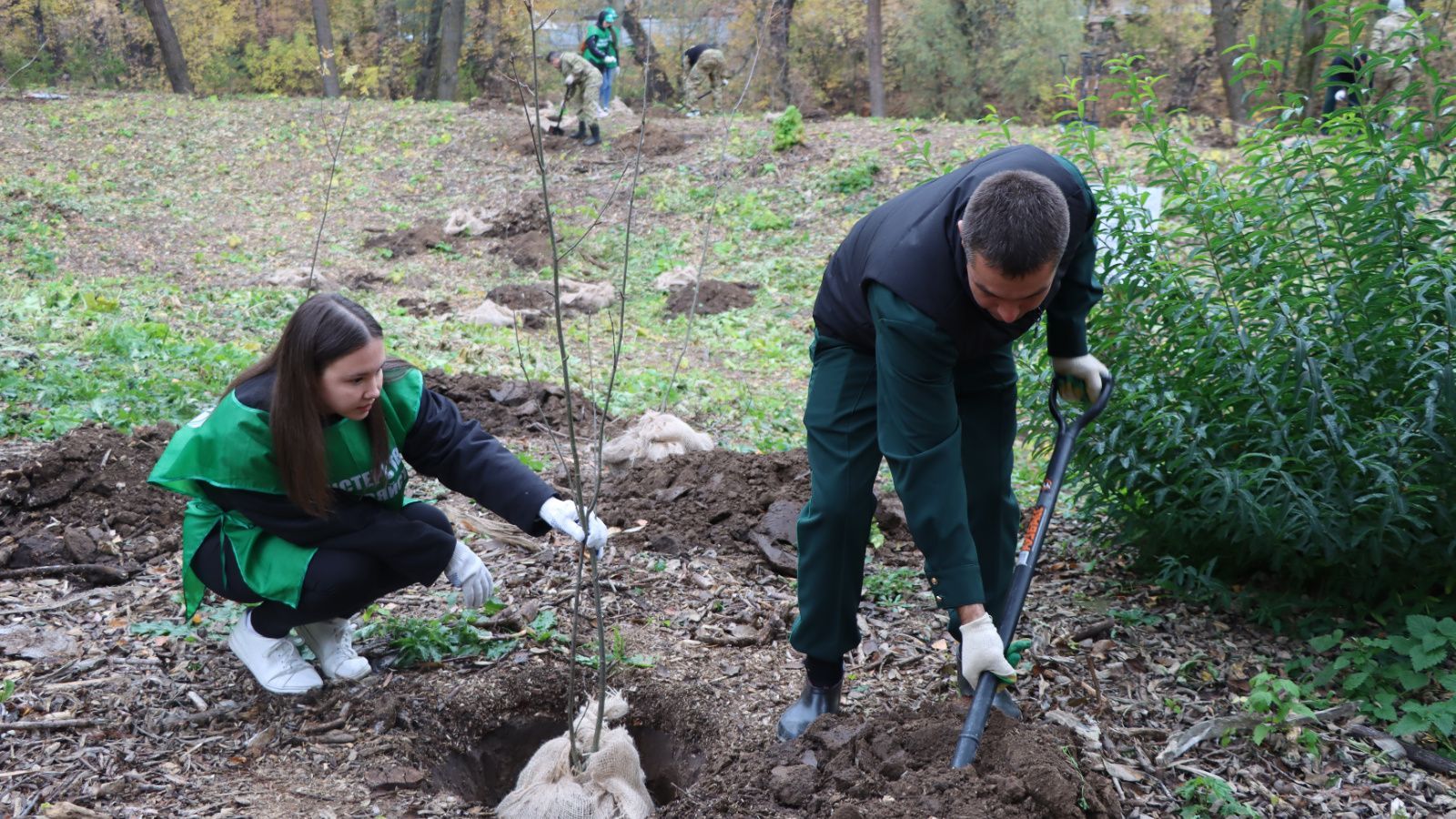 11 октября в Татарстане состоится массовая посадка деревьев по акции «Сохраним лес»
