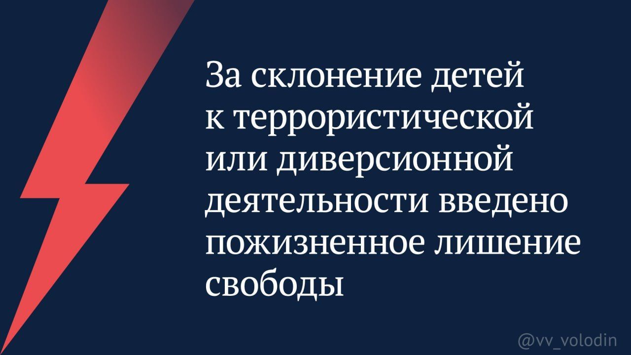 Госдума приняла закон о пожизненном заключении за склонение детей к диверсиям
