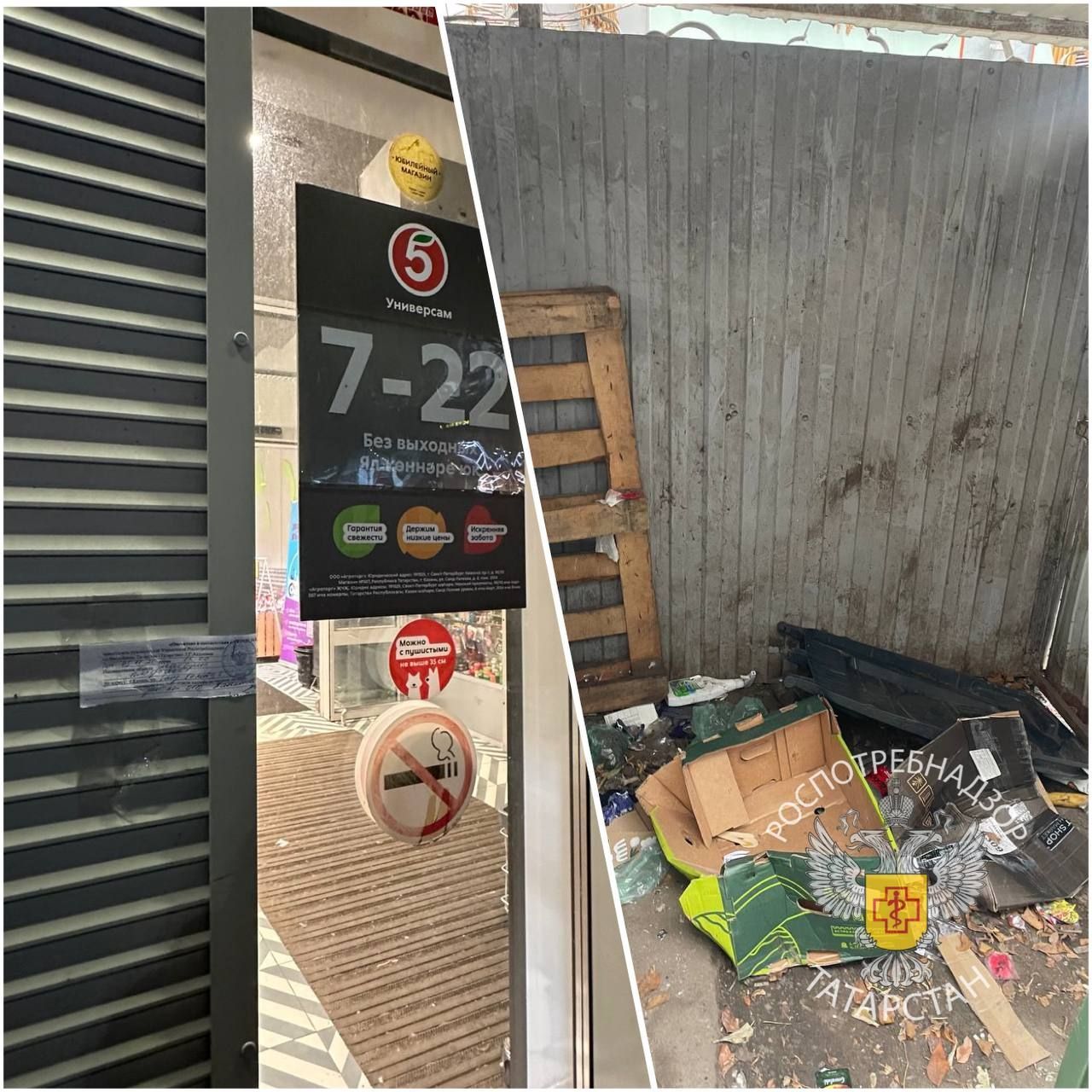 В Казани на 20 суток закрыли «Пятерочку» из-за крыс