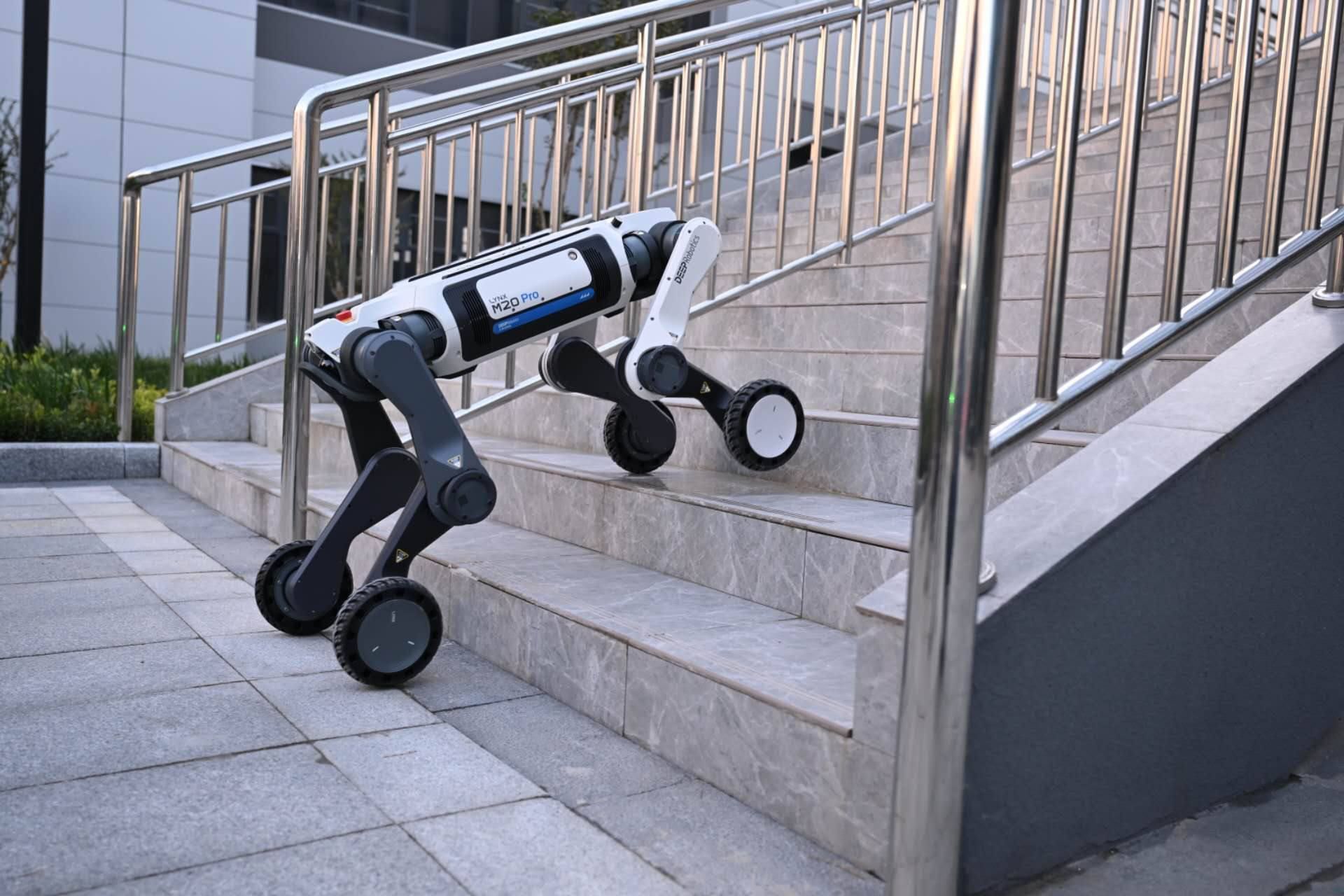 Минниханов осмотрел летательный пассажирский электроаппарат и автомобили в Хучжоу