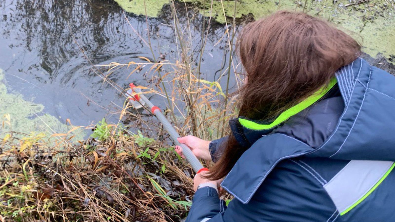 С начала года экологи Татарстана получили почти 5,4 тыс. обращений от граждан