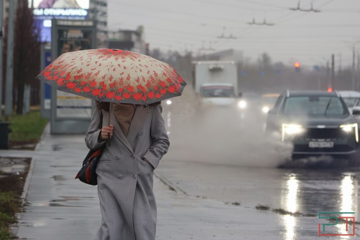 Осень не пускает зиму: неадекватный ноябрь в Татарстане метит на рекорд