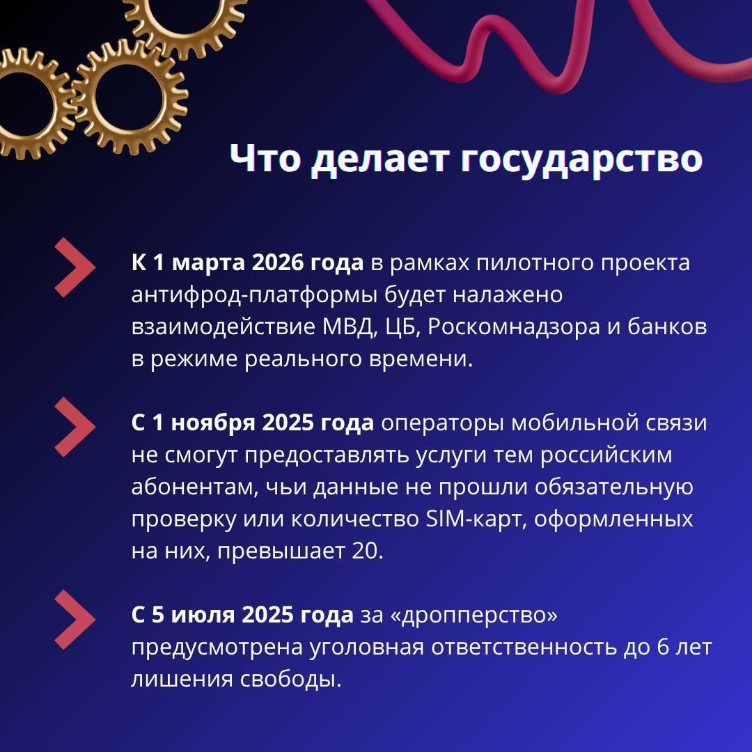 В МВД рассказали о новых схемах кибермошенничества и мерах защиты граждан