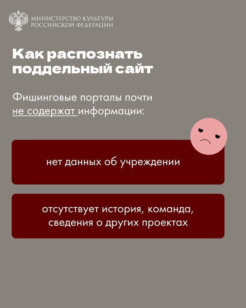 Минкульт Татарстана предупредил о мошенничествах с билетами на новогодние представления