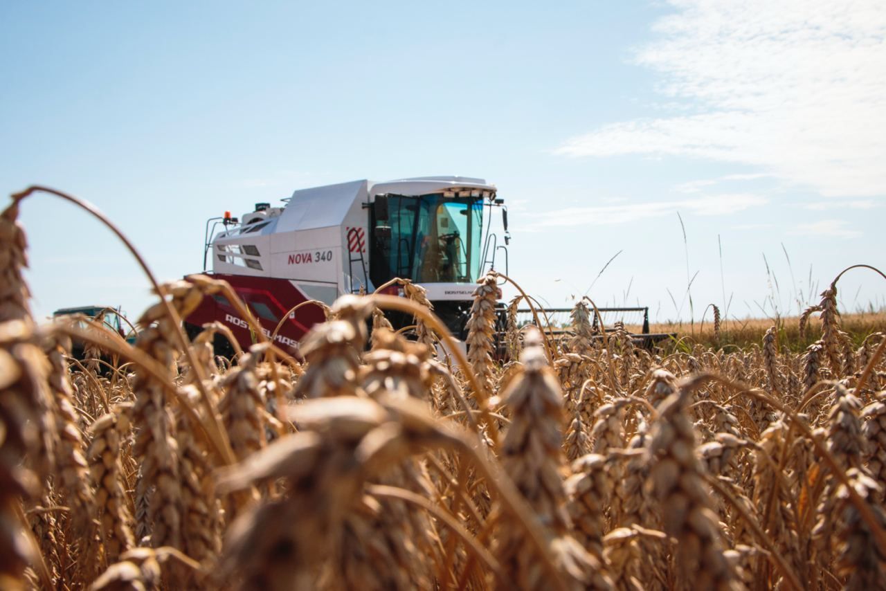 Хлебом нынче сыт не будешь: почему традиционное земледелие становится в Татарстане невыгодным