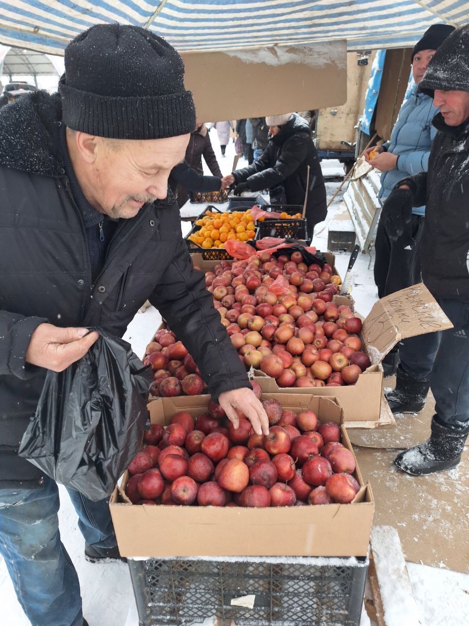 Фермеры привезли свыше 400 тонн продукции на ярмарки в Набережных Челнах