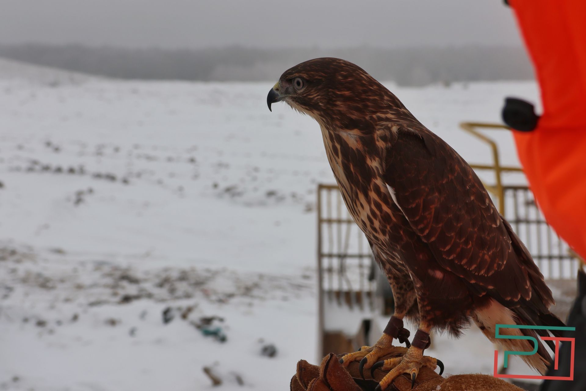 Как работает мусорный полигон «Восточный»