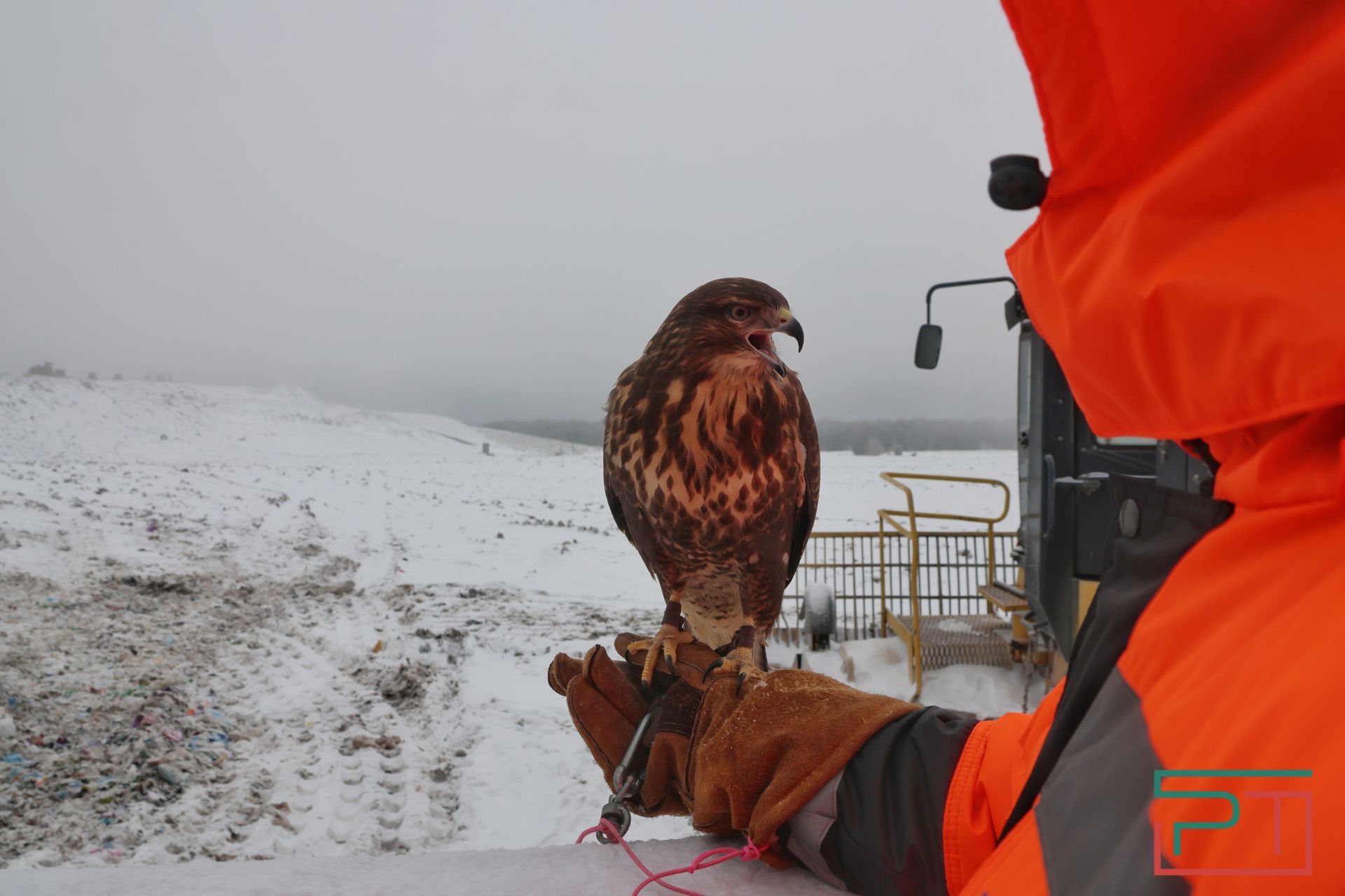 Как работает мусорный полигон «Восточный»