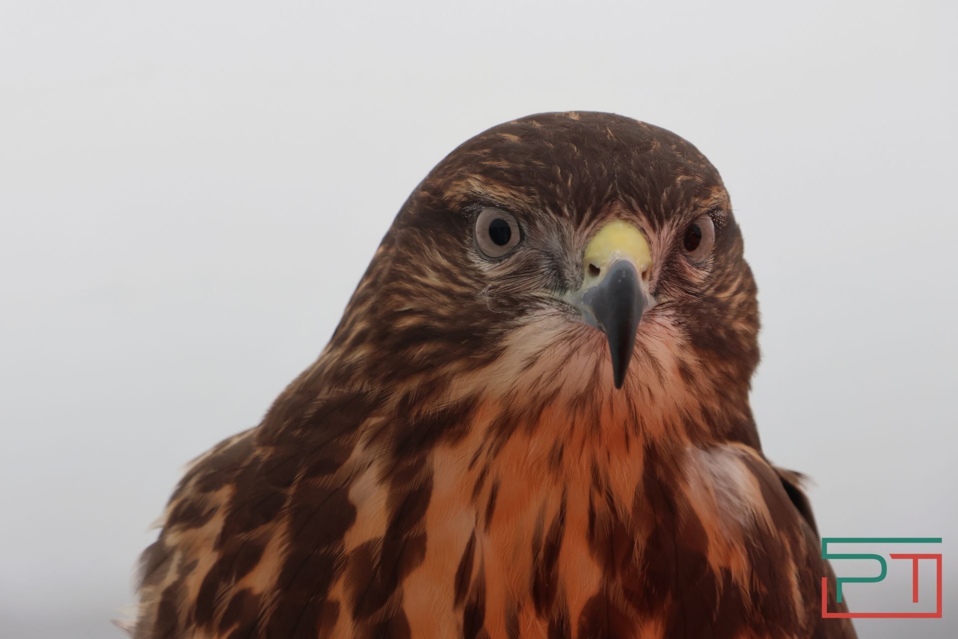 Как работает мусорный полигон «Восточный»