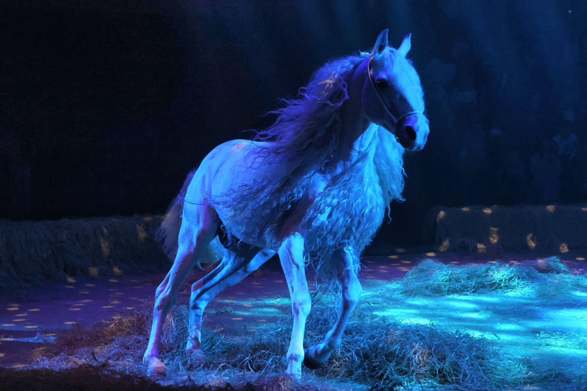 Новогодняя программа «Конек-Горбунок» в Казанском цирке