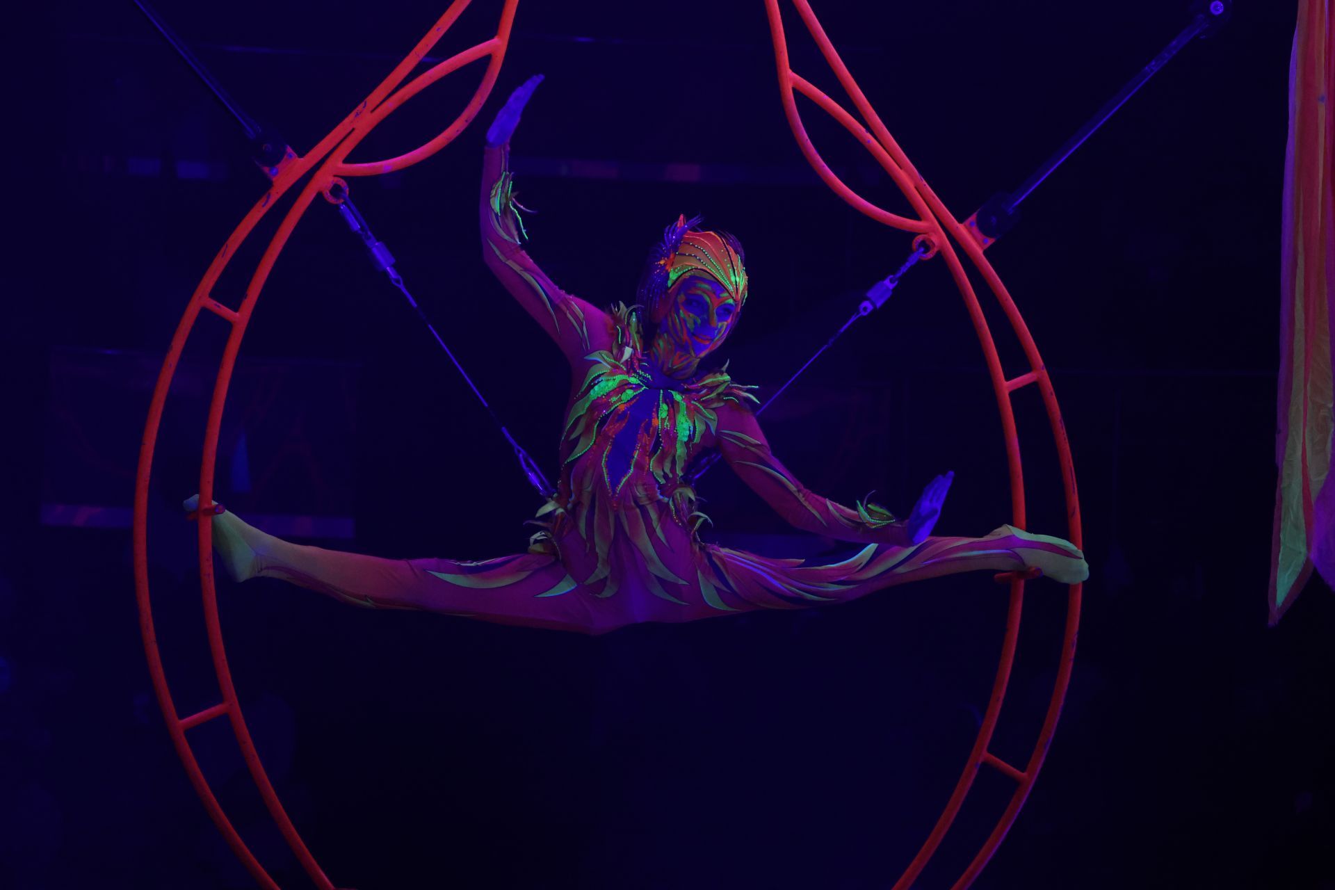 Новогодняя программа «Конек-Горбунок» в Казанском цирке