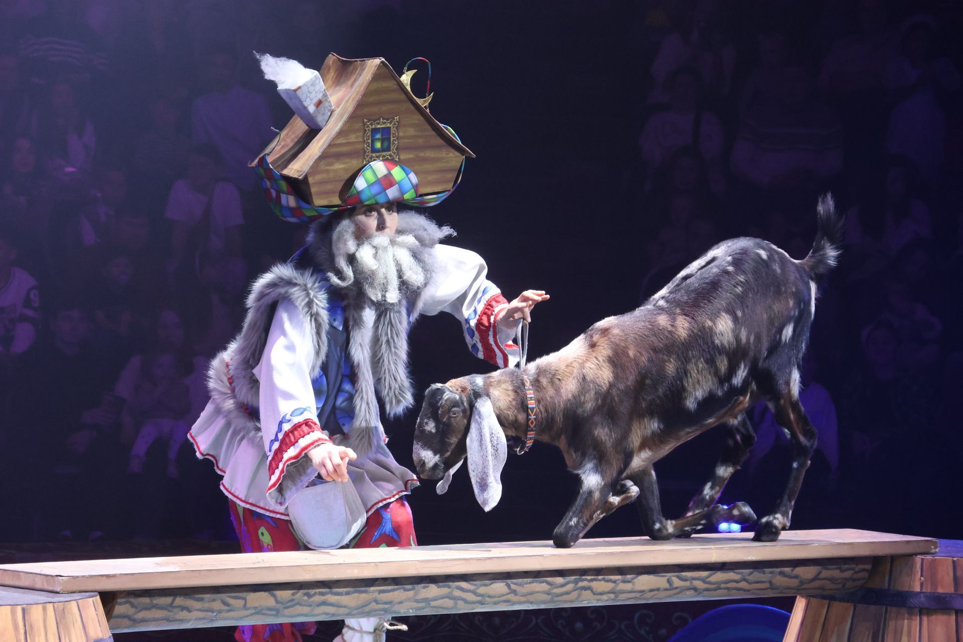 Новогодняя программа «Конек-Горбунок» в Казанском цирке