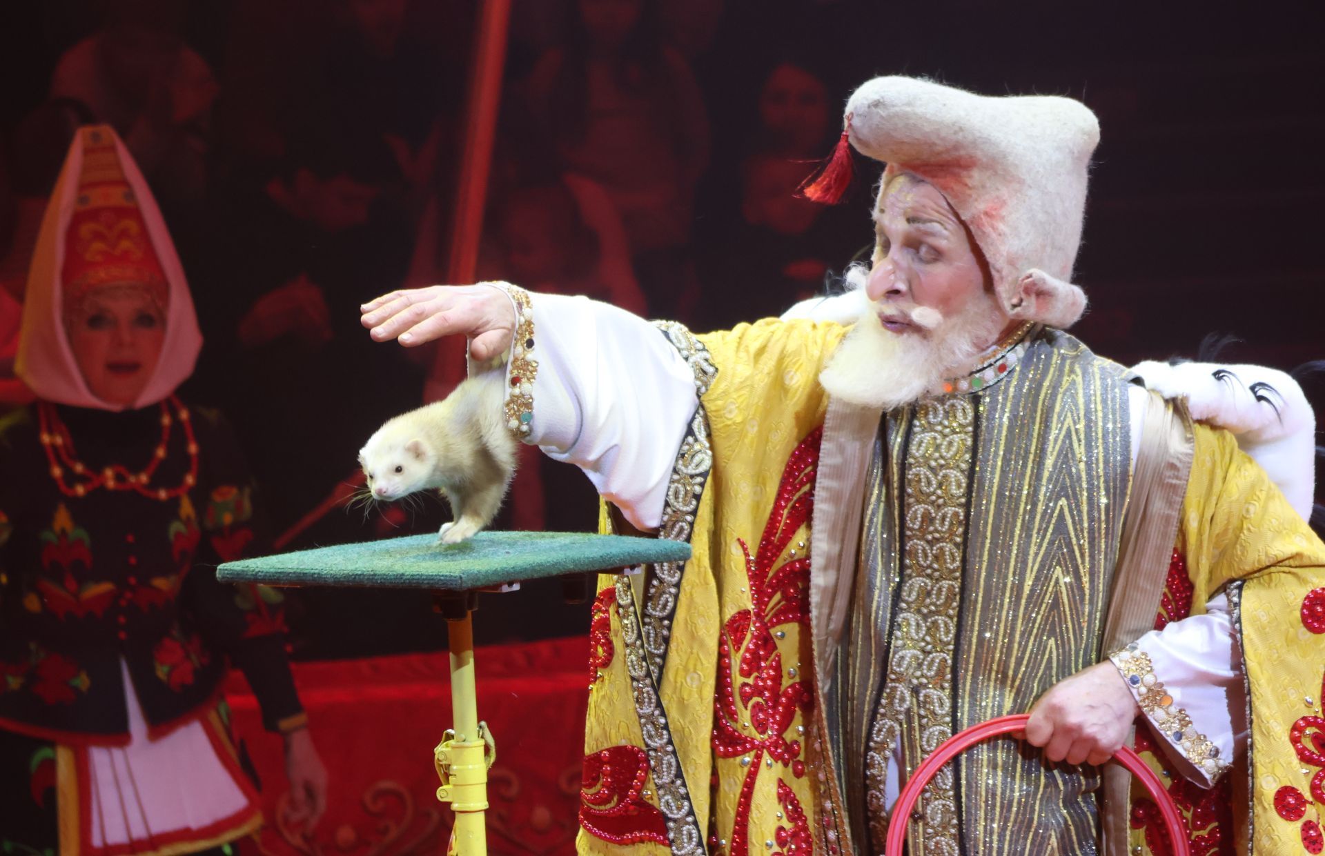 Новогодняя программа «Конек-Горбунок» в Казанском цирке