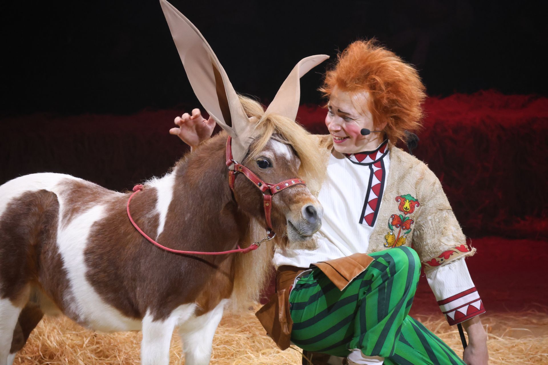 Новогодняя программа «Конек-Горбунок» в Казанском цирке