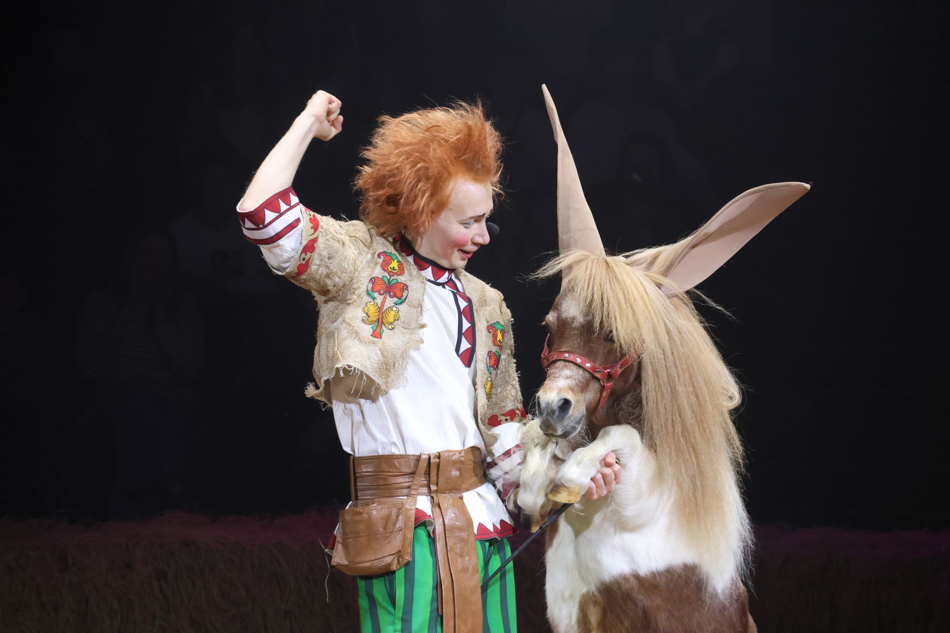 Новогодняя программа «Конек-Горбунок» в Казанском цирке