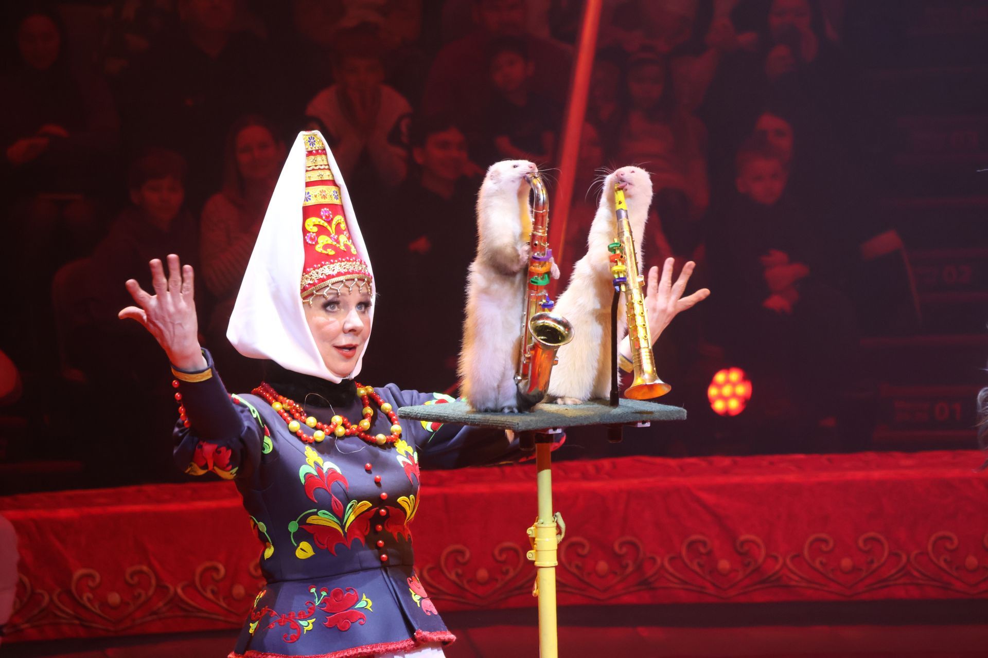 Новогодняя программа «Конек-Горбунок» в Казанском цирке