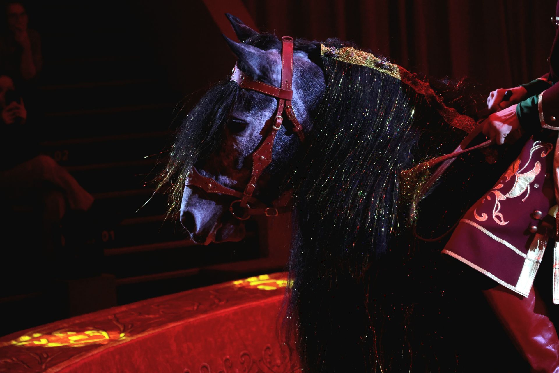 Новогодняя программа «Конек-Горбунок» в Казанском цирке