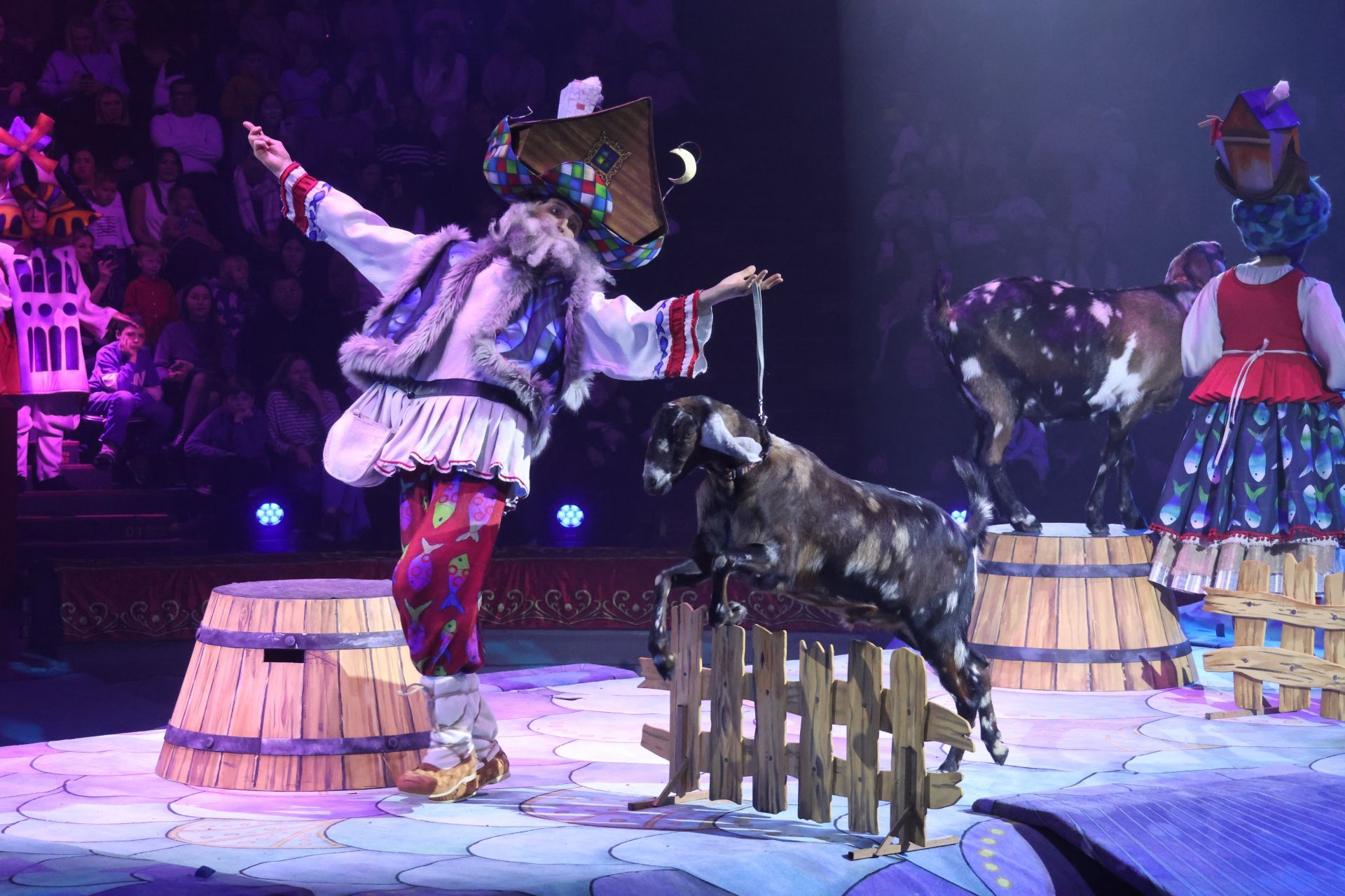 Новогодняя программа «Конек-Горбунок» в Казанском цирке