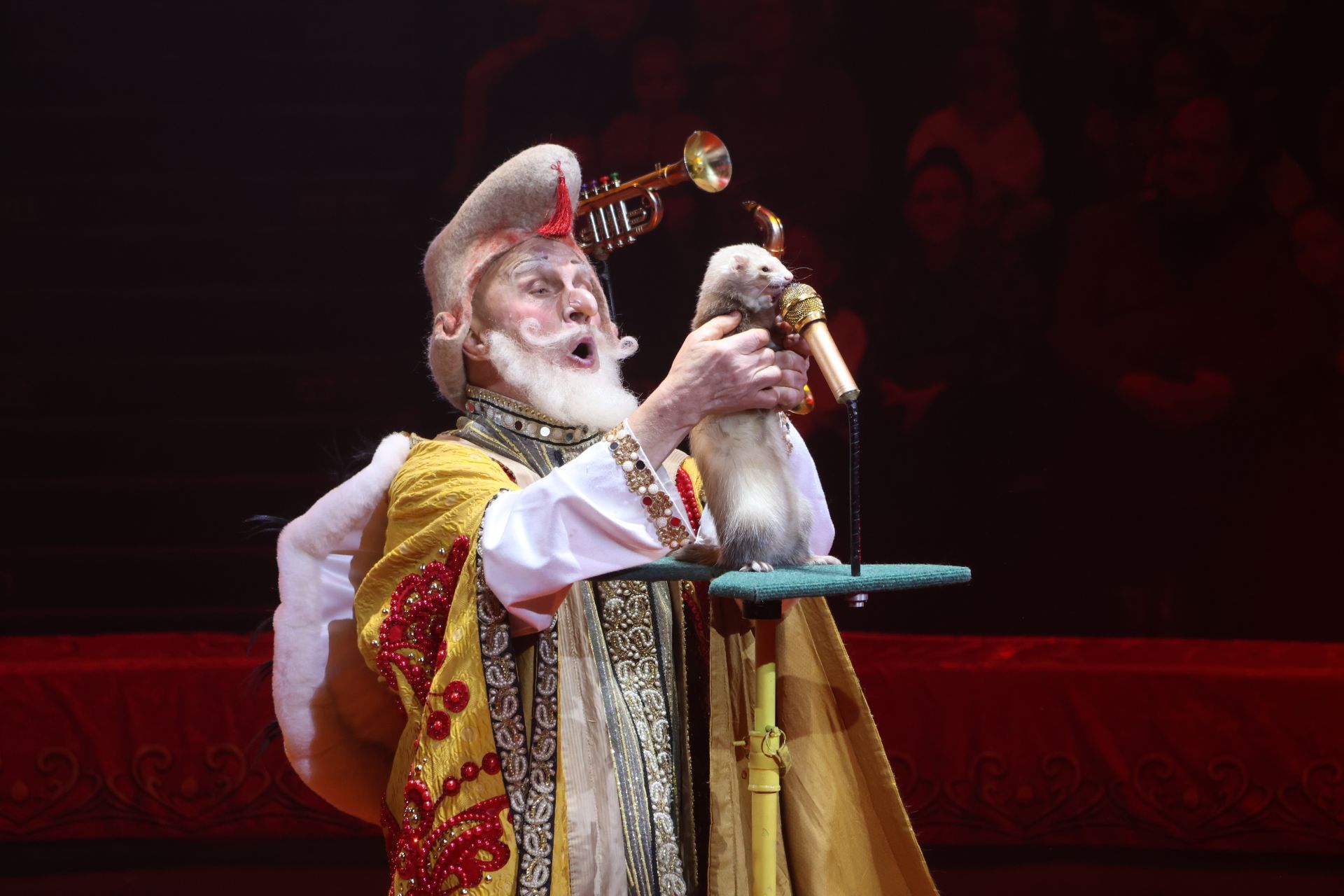 Новогодняя программа «Конек-Горбунок» в Казанском цирке