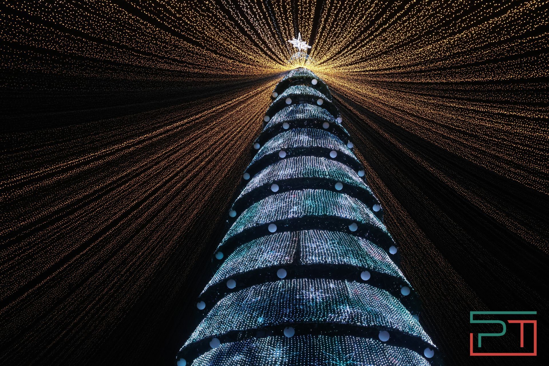 Главную елку у «Чаши» открыли в Казани