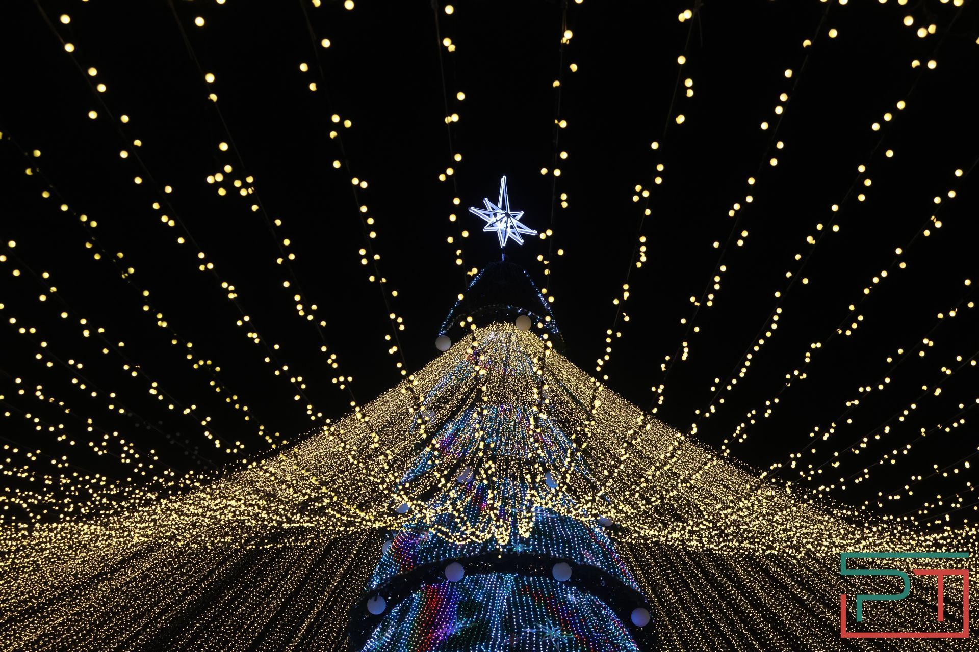 Главную елку у «Чаши» открыли в Казани