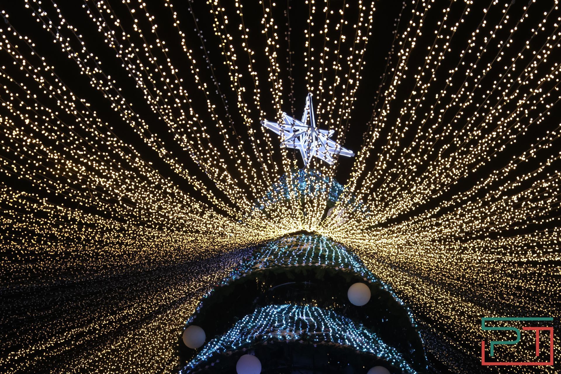 Главную елку у «Чаши» открыли в Казани