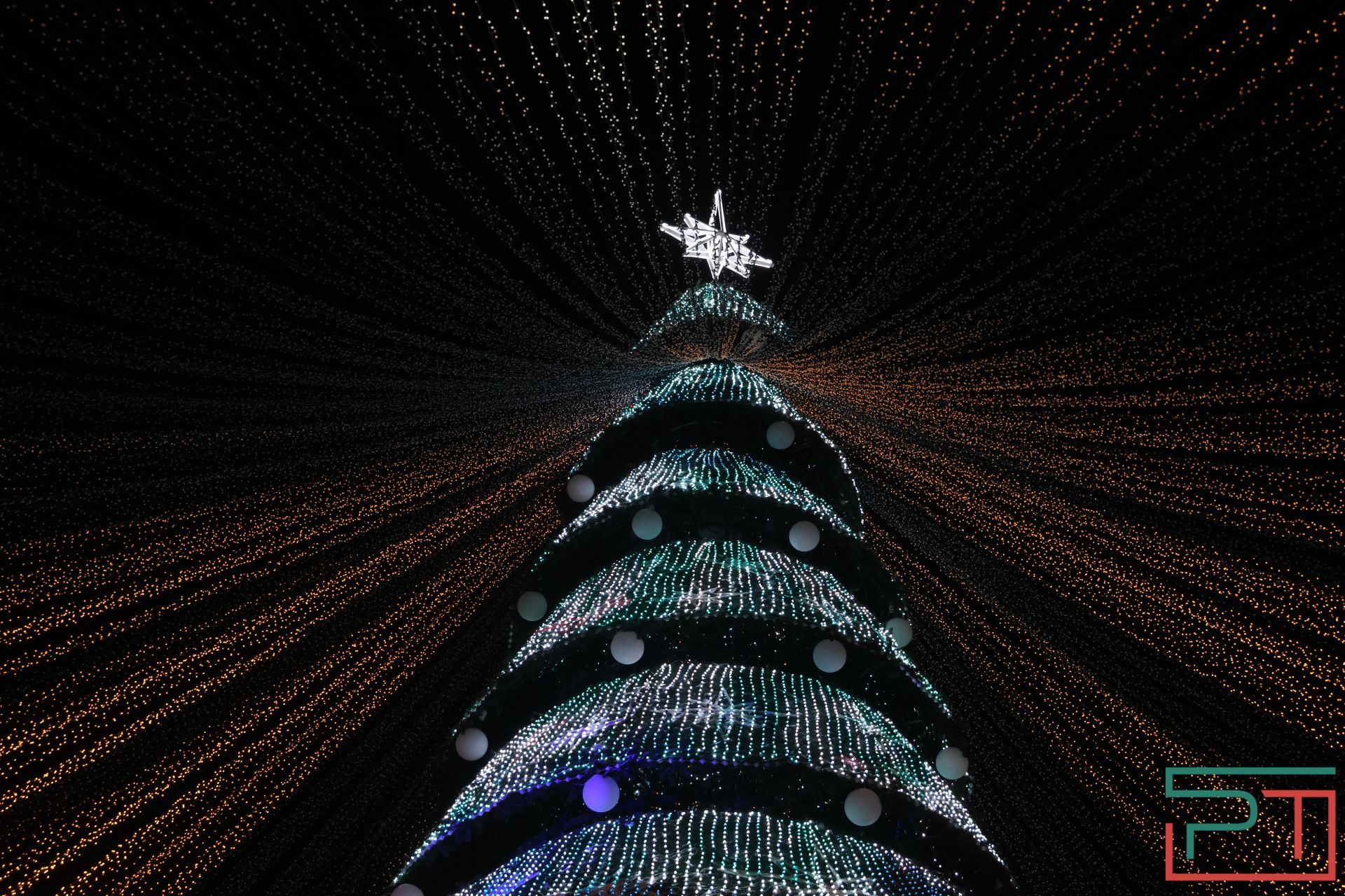 Главную елку у «Чаши» открыли в Казани