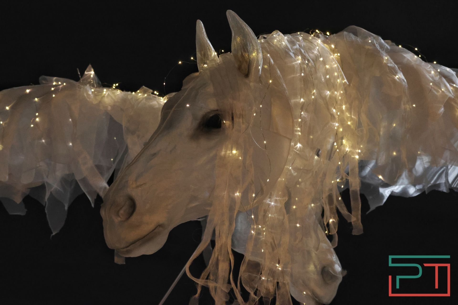 Главную елку у «Чаши» открыли в Казани