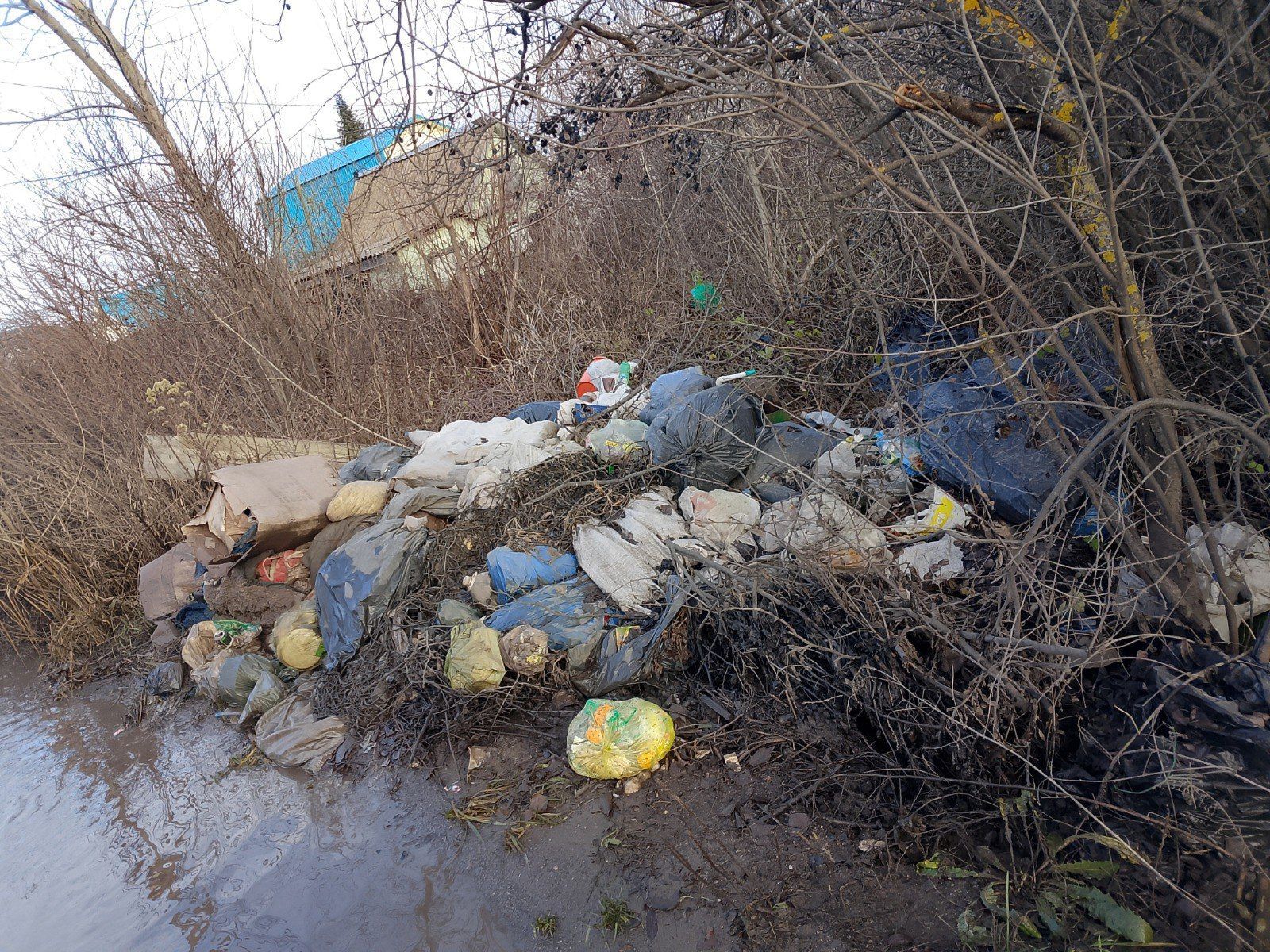 Исполком Нижнекамска получил предостережение за свалку в СНТ