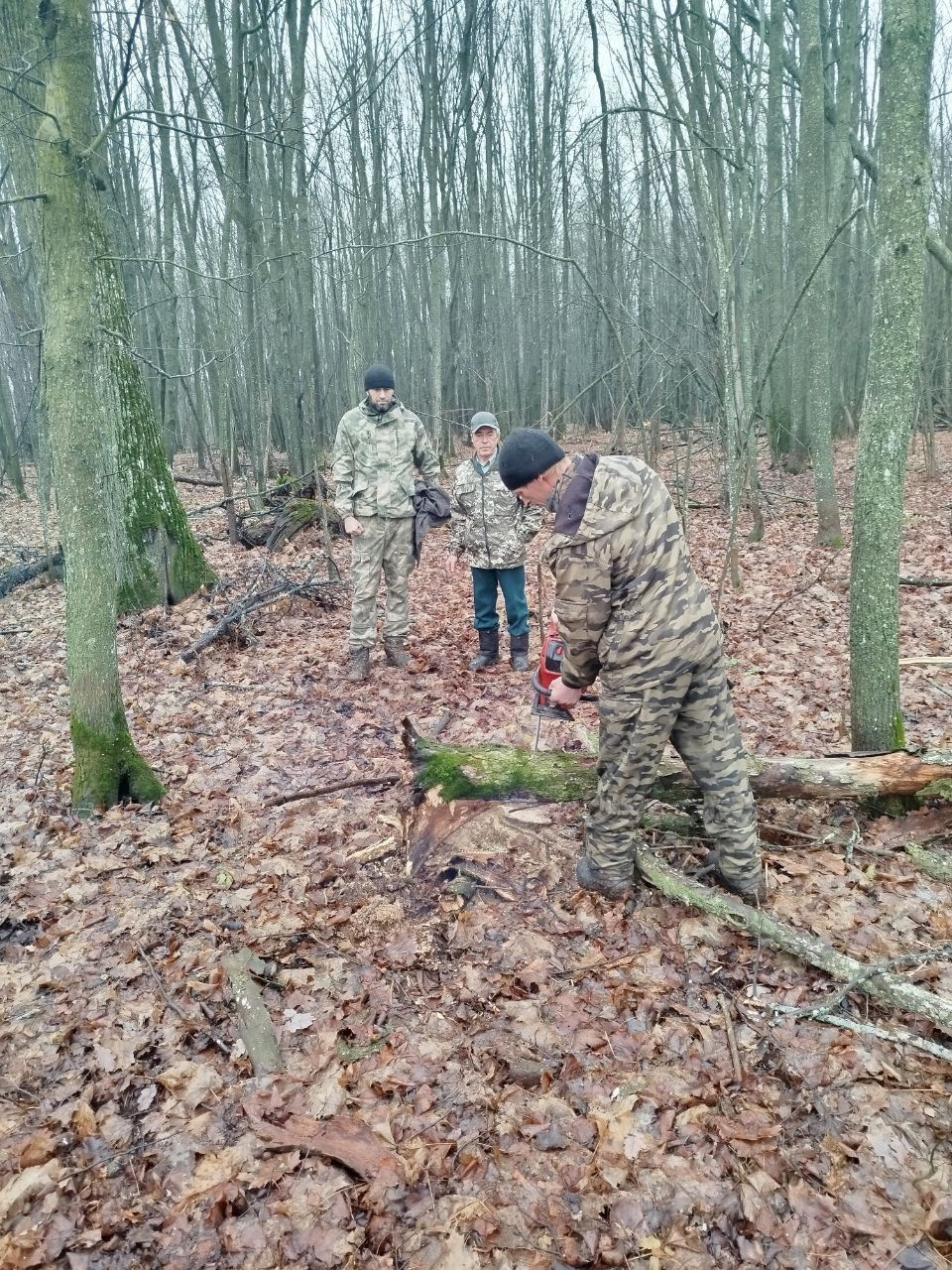 Участник проекта «Батырлар» прошел стажировку в Тетюшском лесничестве