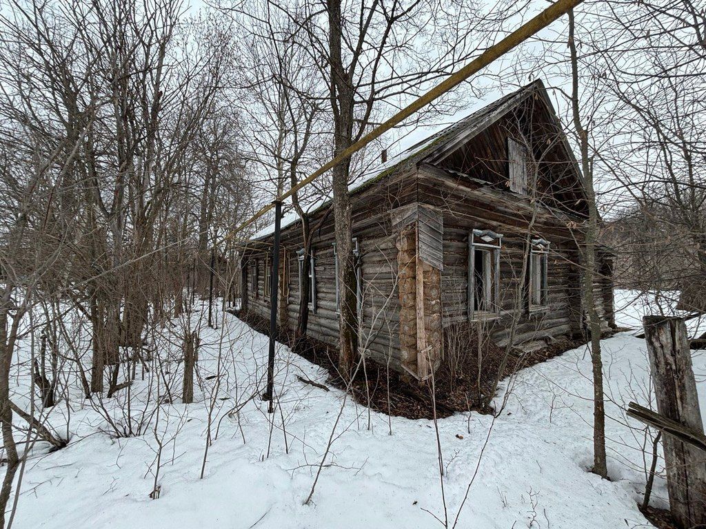 Избинг в лесной глуши: татарстанец превратит заброшенный поселок в рай для туристов