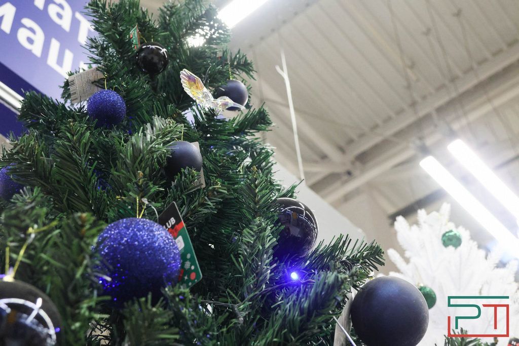 Живая или искусственная: как выбрать идеальную новогоднюю елку