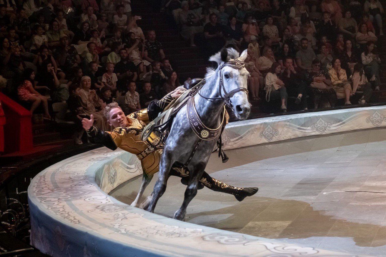 Те же на манеже: упавшие на представлении в Казанском цирке конь и наездник вернулись в строй