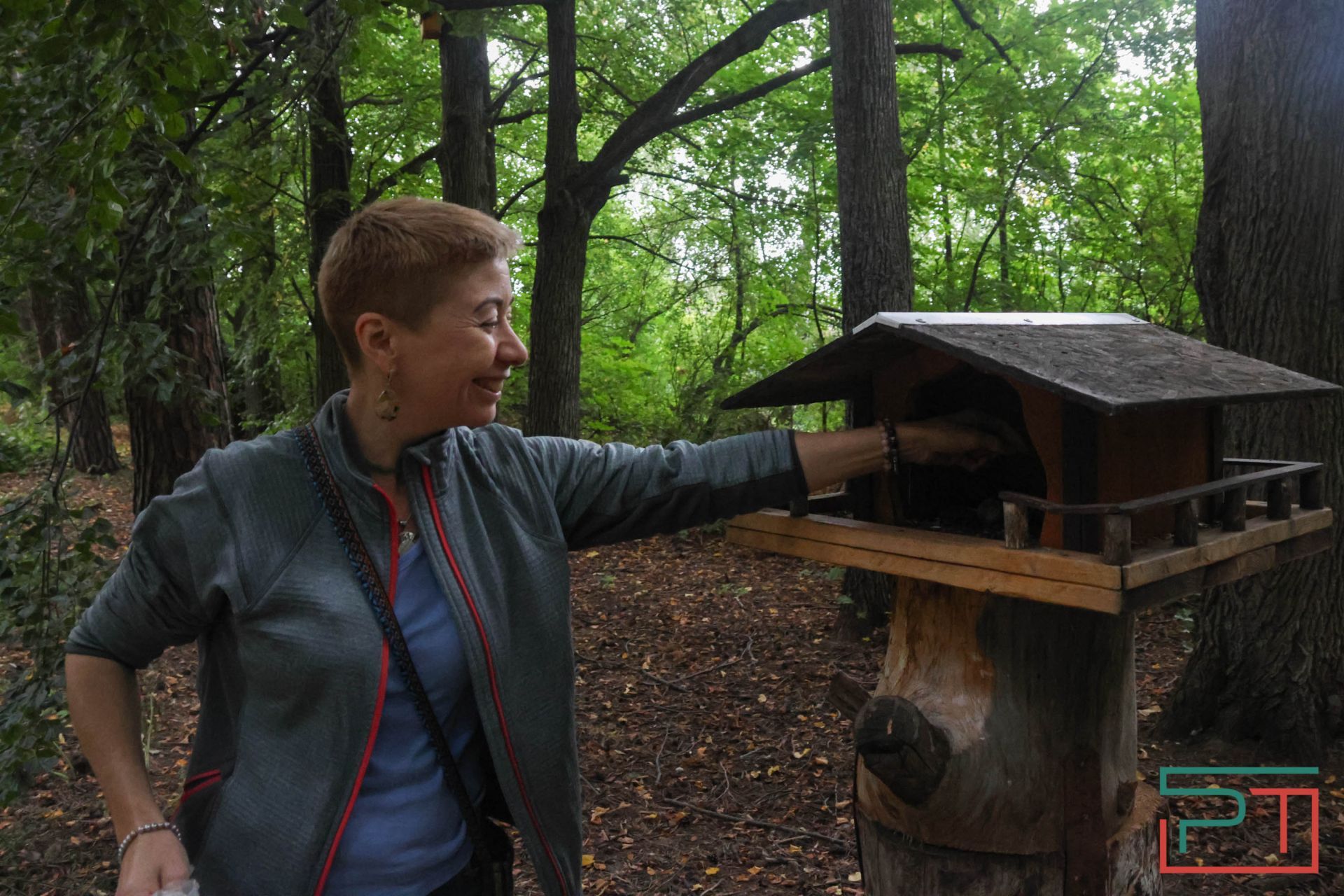 «Яблони срубили и липы погубят»: жители села под Казанью защищают от коттеджей старинный парк