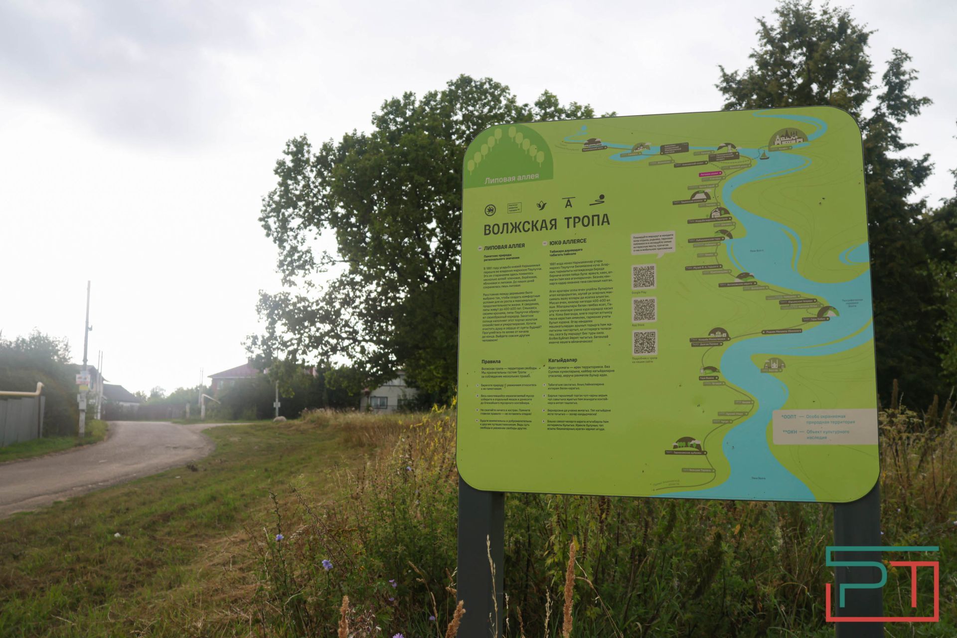 «Яблони срубили и липы погубят»: жители села под Казанью защищают от коттеджей старинный парк