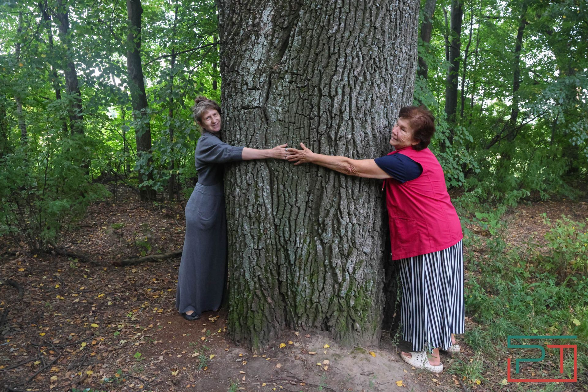 «Яблони срубили и липы погубят»: жители села под Казанью защищают от коттеджей старинный парк