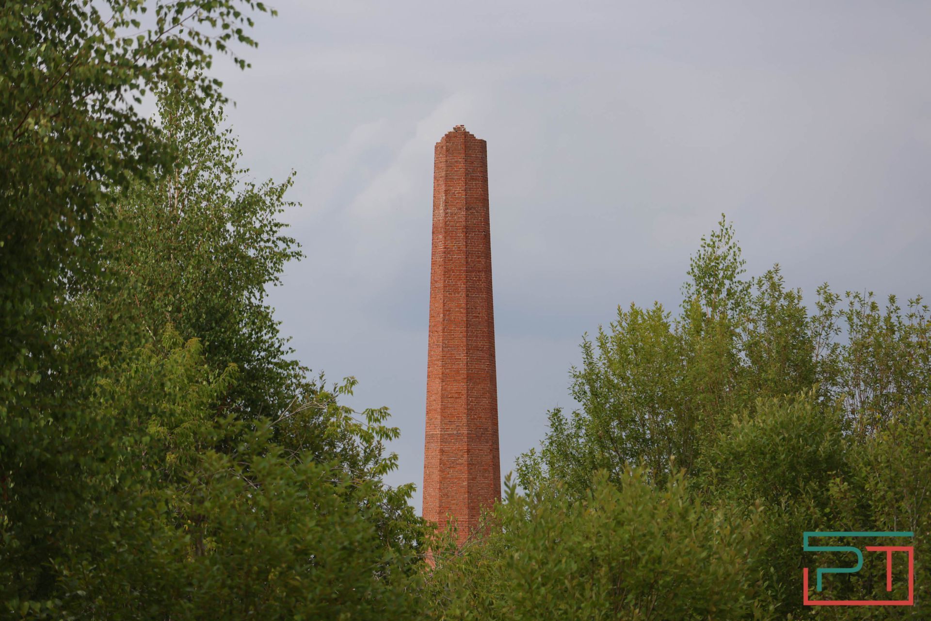«Яблони срубили и липы погубят»: жители села под Казанью защищают от коттеджей старинный парк