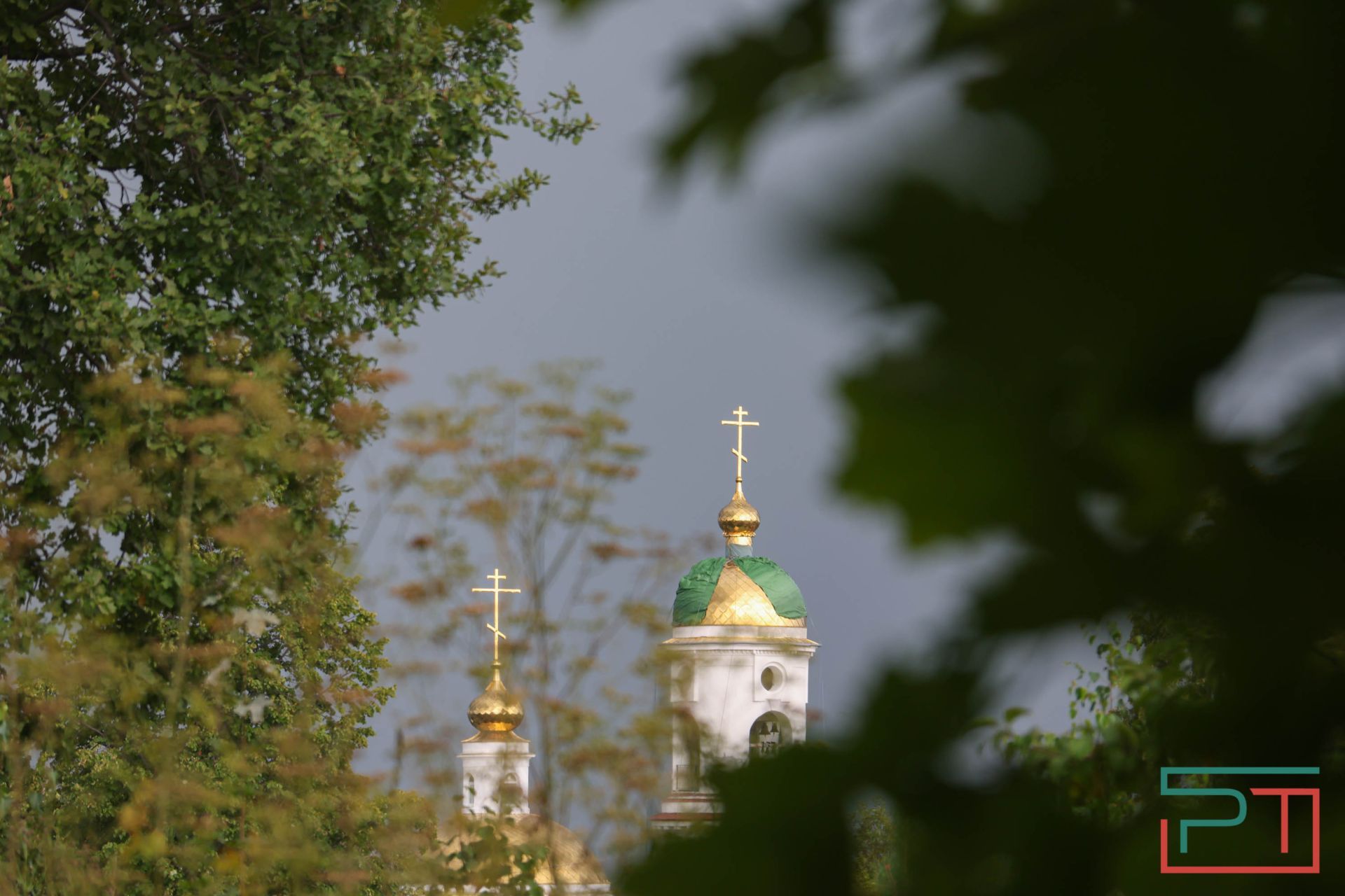 «Яблони срубили и липы погубят»: жители села под Казанью защищают от коттеджей старинный парк
