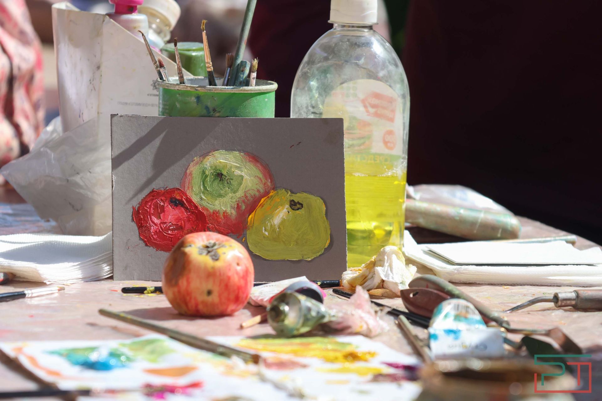 Яблочный спас в Красновидово