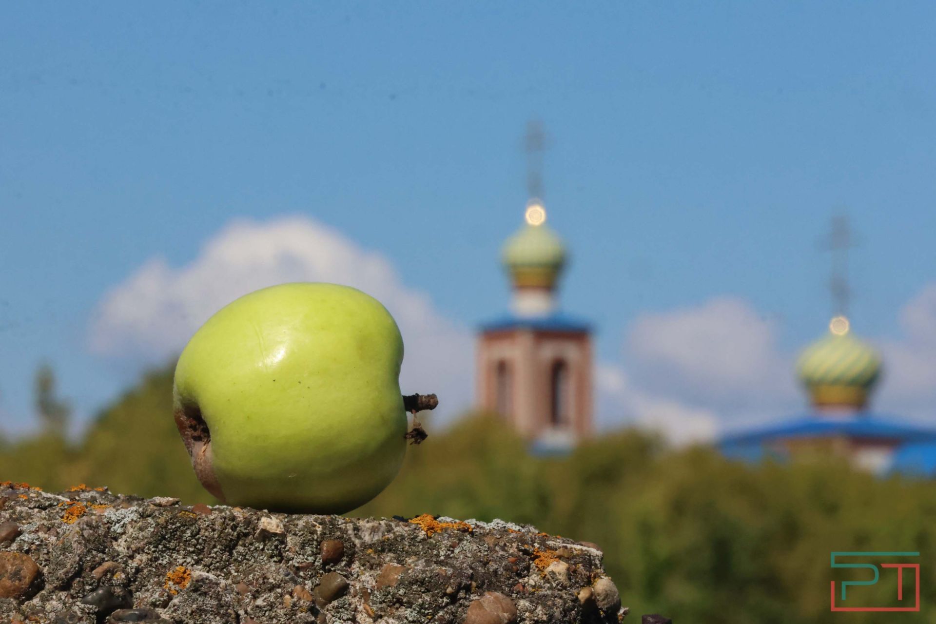 Яблочный спас в Красновидово