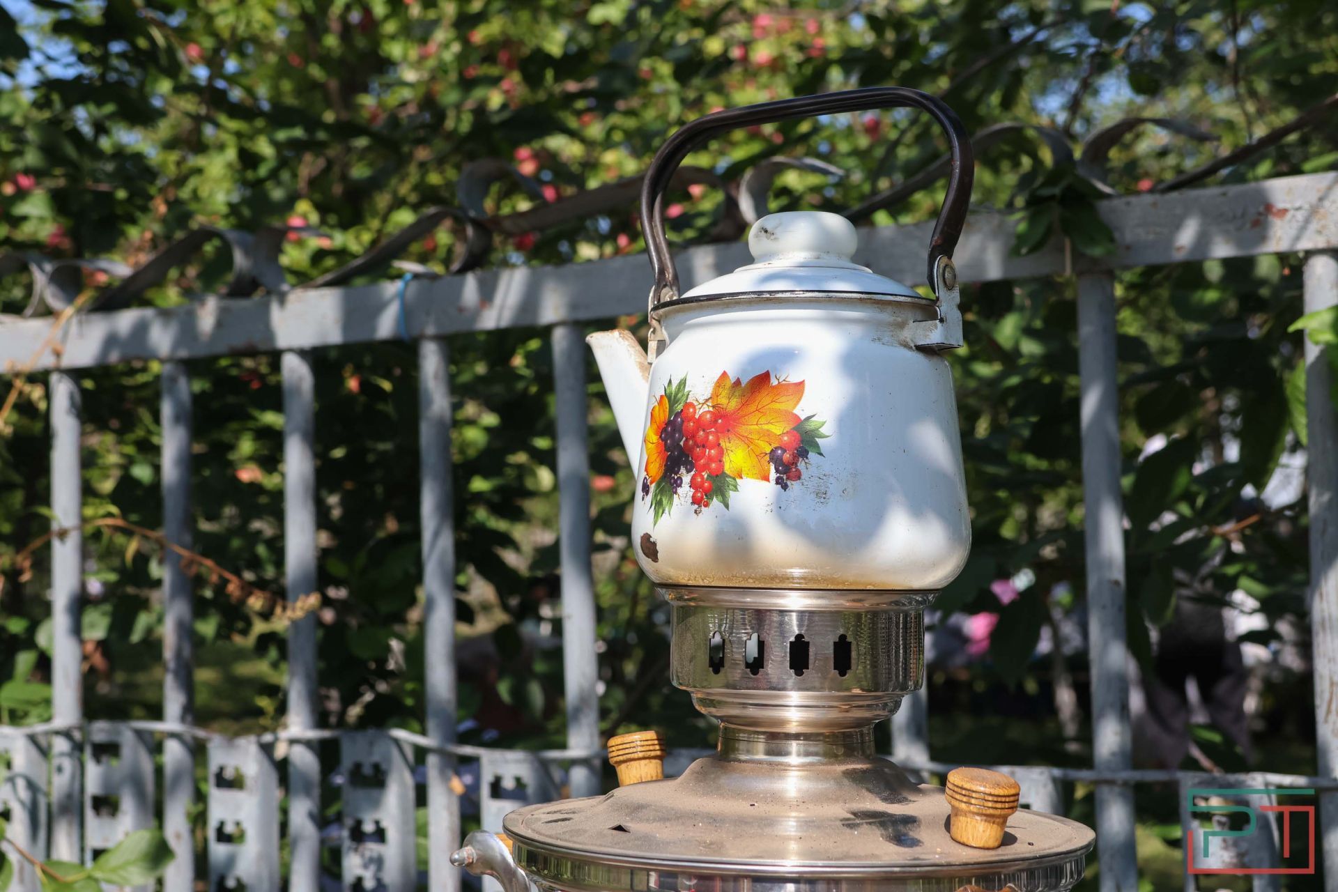 Яблочный спас в Красновидово