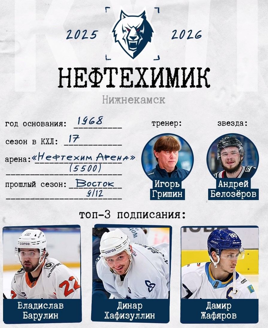 Новым главным тренером «Нефтехимика» назначен Игорь Гришин