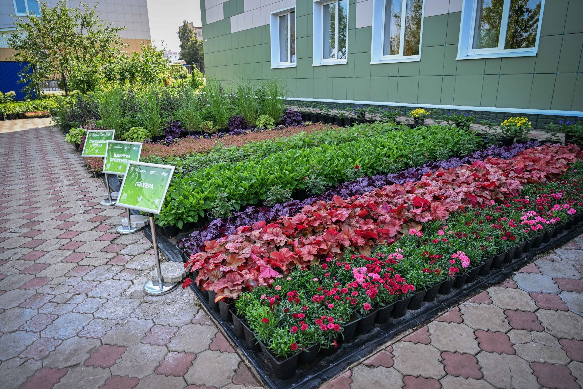 Биолаборатория и чайная фабрика: Минниханов посетил Лениногорский детский дом