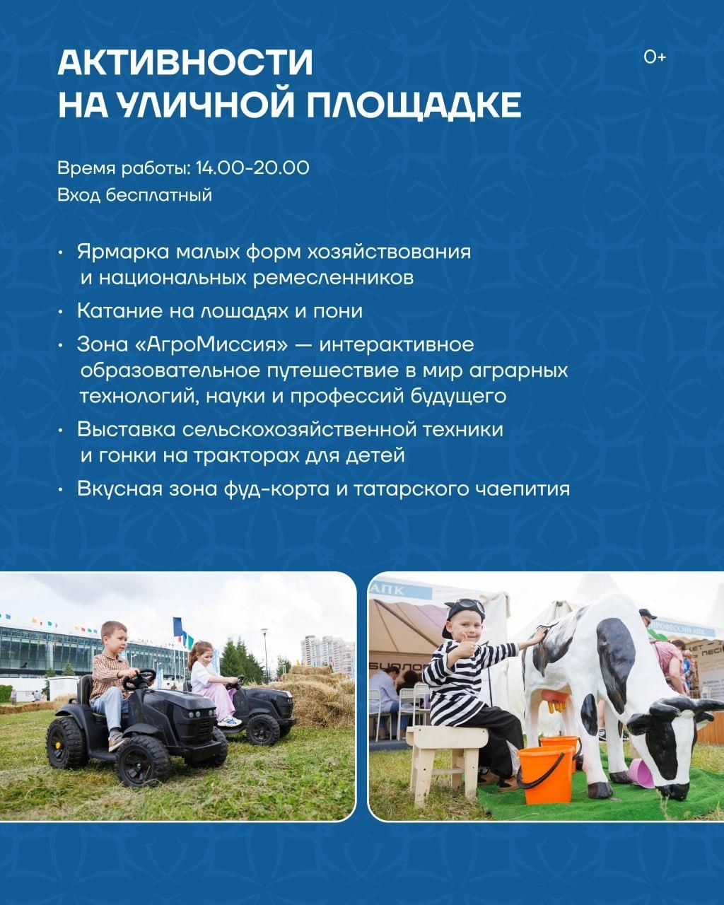В День города на Казанском ипподроме пройдут скачки на призы Президента РФ и Раиса РТ
