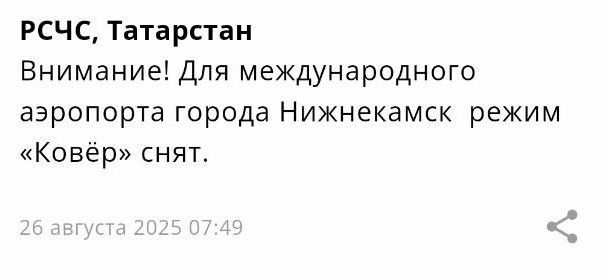 Аэропорт Нижнекамска возобновил свою работу