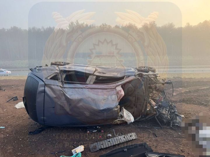 Mazda вылетела с трассы в Тукаевском районе - один человек погиб