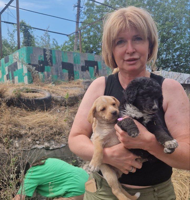 Некому любить, некому лечить: казанские волонтеры спасают животных из зоны СВО